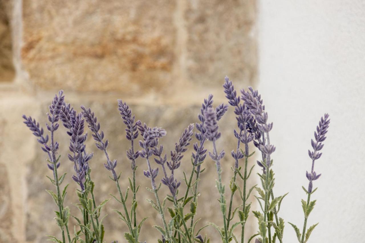 Aparrtment Terra- Combine Beach&Old Town Split Exterior foto